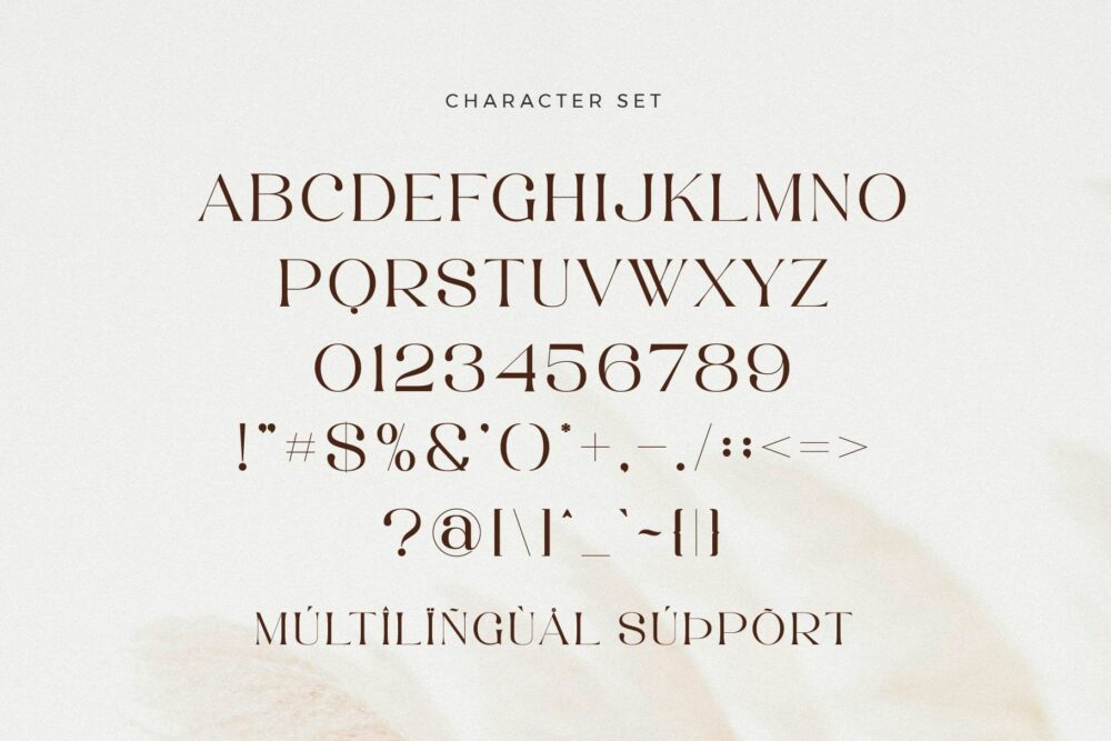 beautiful serif font