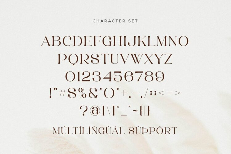 beautiful serif font