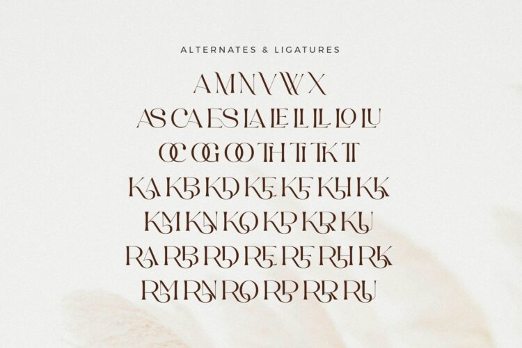 beautiful serif font