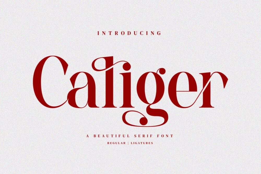 beautiful serif font