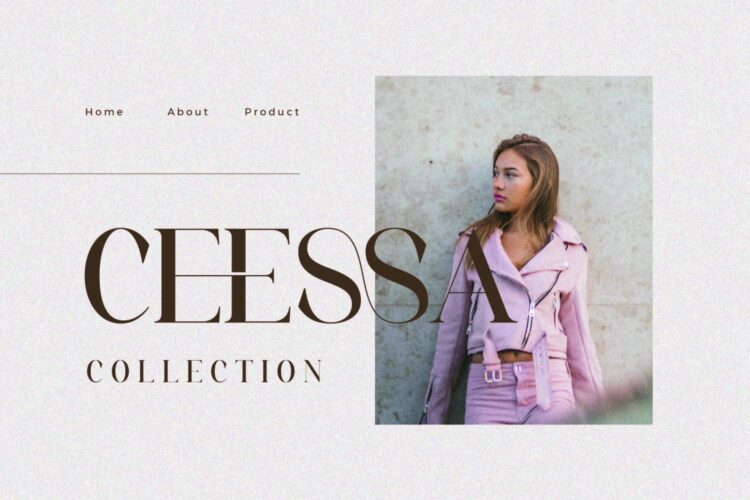 beautiful serif font