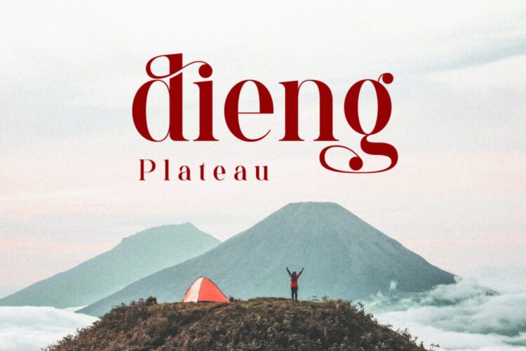 beautiful serif font