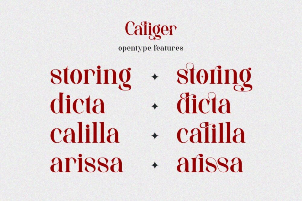 beautiful serif font