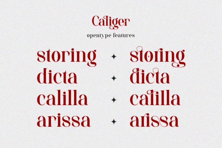 beautiful serif font
