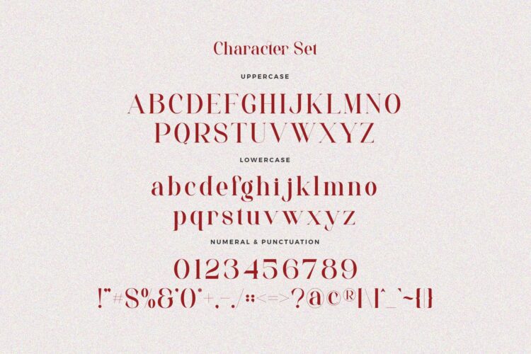 beautiful serif font