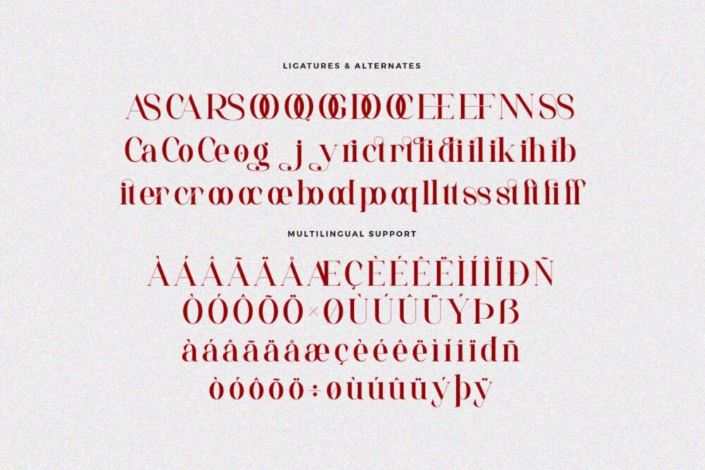 beautiful serif font