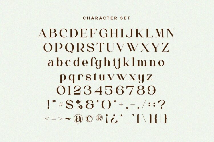 Beautiful Serif Font