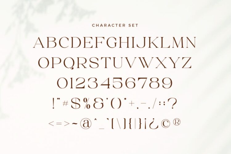 Rossce - Beautiful Serif Font