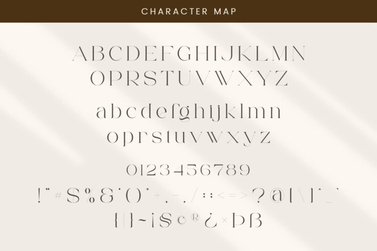 Elegant Serif Font