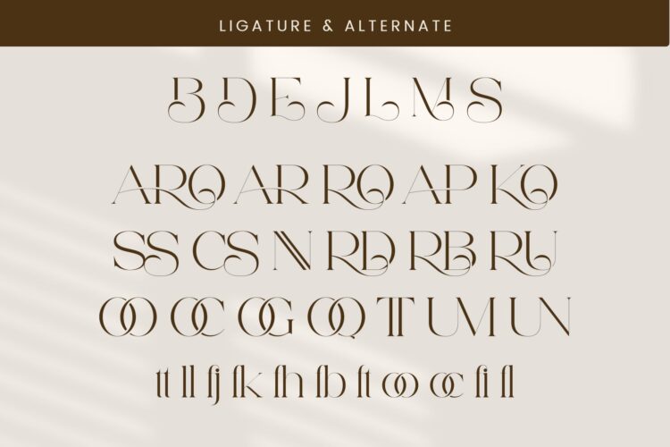 Elegant Serif Font
