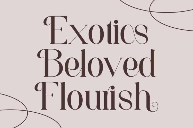 luxury beauty serif font