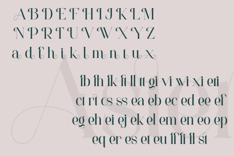 luxury beauty serif font