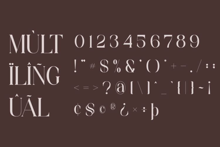 luxury beauty serif font