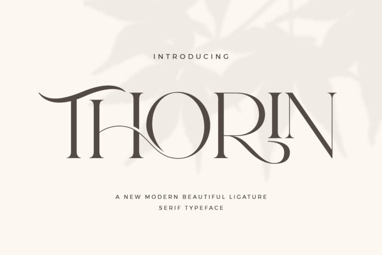 modern beautiful serif font