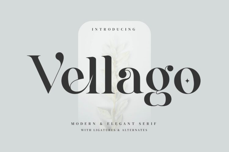 Modern Elegant Serif Font