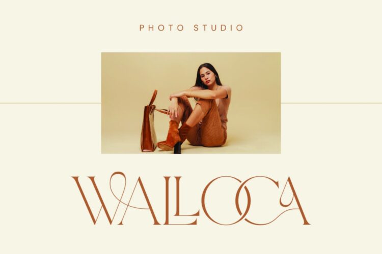 Modern Ligature Serif Font