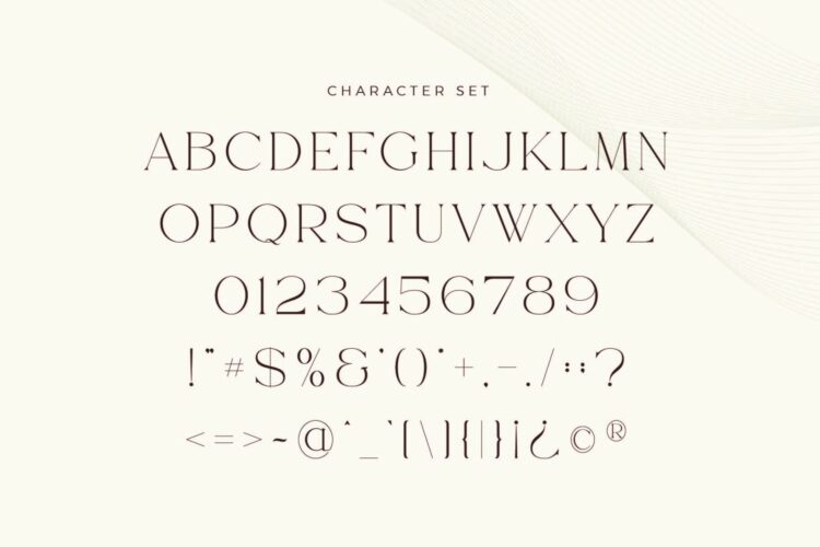 Modern Ligature Serif Font