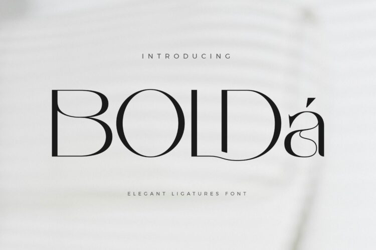 Bolda - Elegant Sans Serif Font