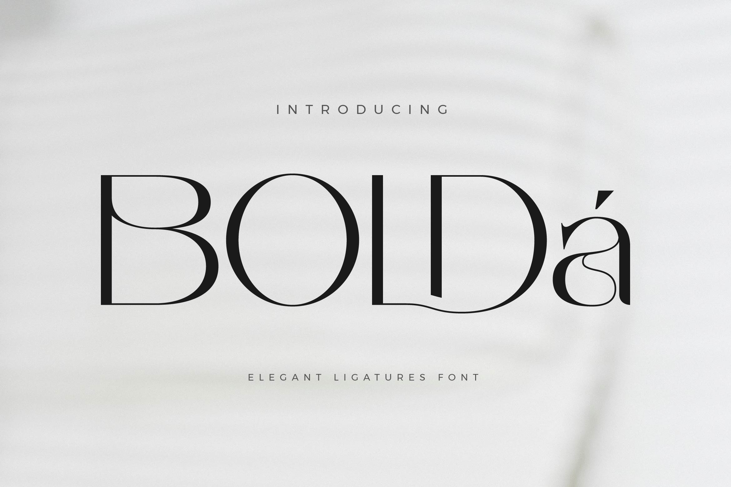Bolda - Elegant Sans Serif Font