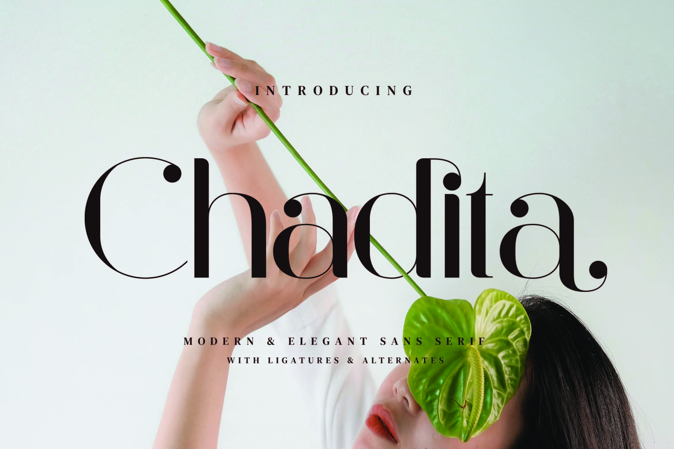Chadita - Modern Elegant Sans Serif Font