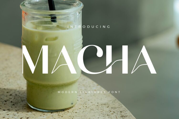 Macha - Modern Sans Serif Font