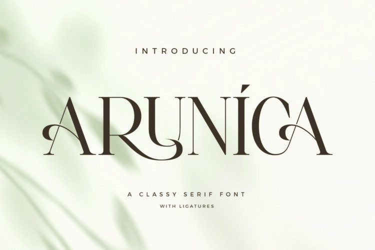 Arunica - Classy Serif Font