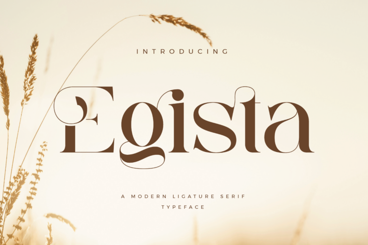 Egista - Modern Ligature Serif Font