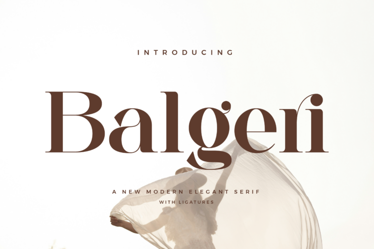 Balgeri - Modern Elegant Serif Font