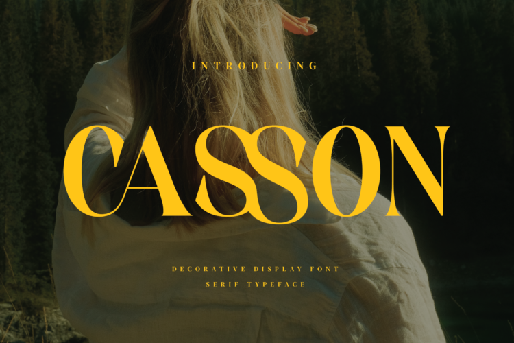 Casson - Decorative Display Serif Font